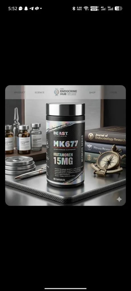 WhatsApp Image 2026-03-12 at 6.45.08 PM.webp