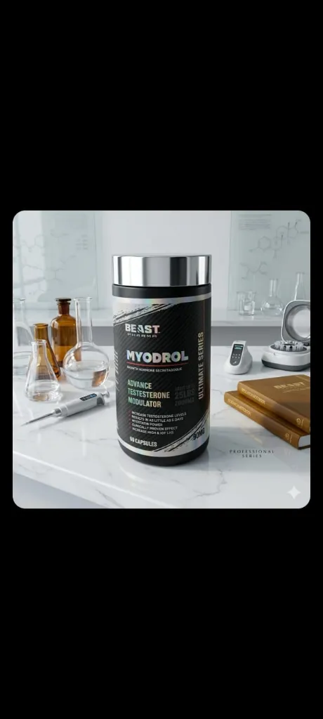 WhatsApp Image 2026-03-12 at 6.51.50 PM.webp