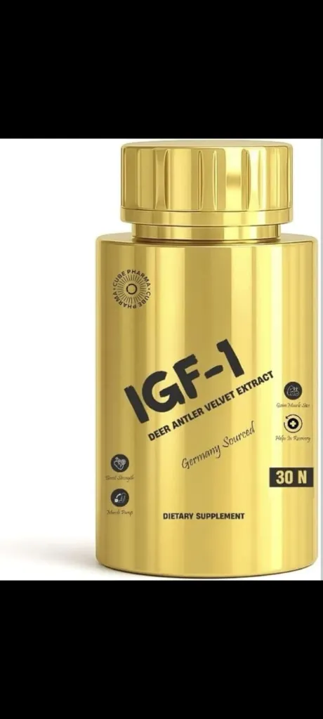 WhatsApp Image 2026-03-13 at 2.26.51 PM (3).webp